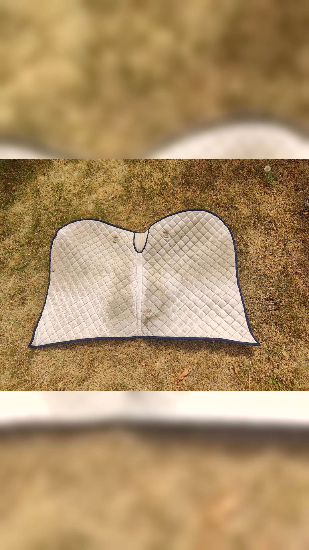 Tapis, média 2