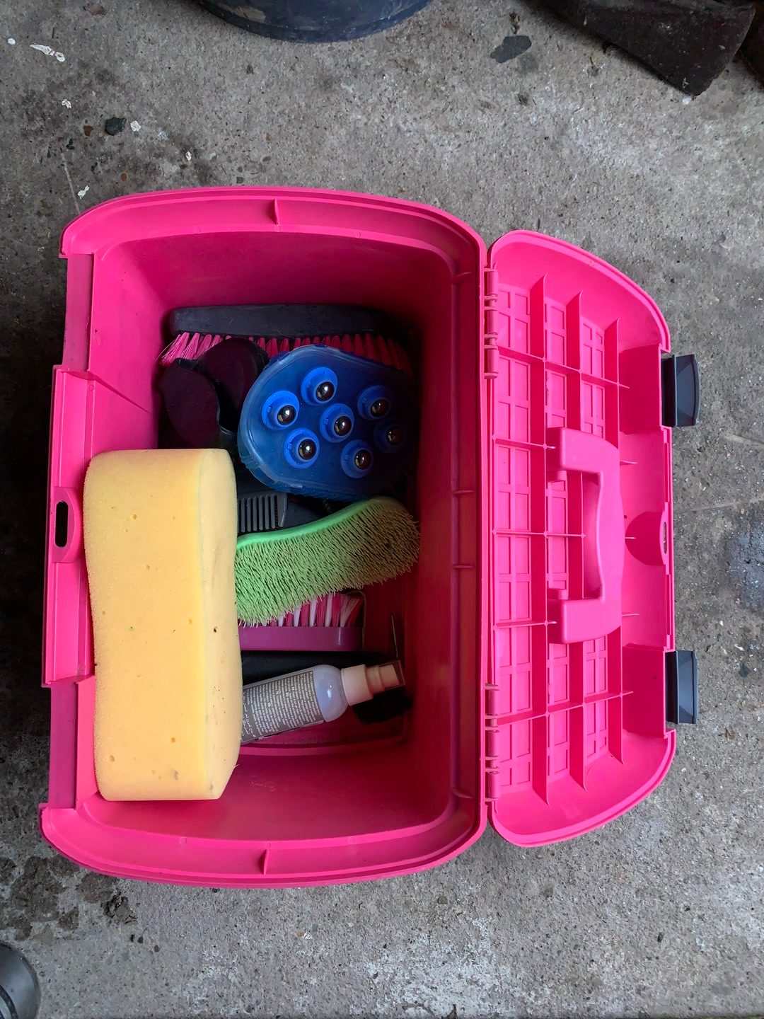 Kit de pansage complet et boîte de pansage, média 4