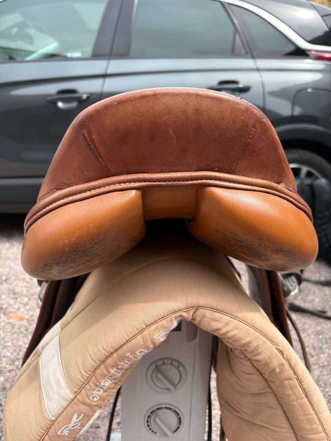 Selle CSO Whitaker, média 5