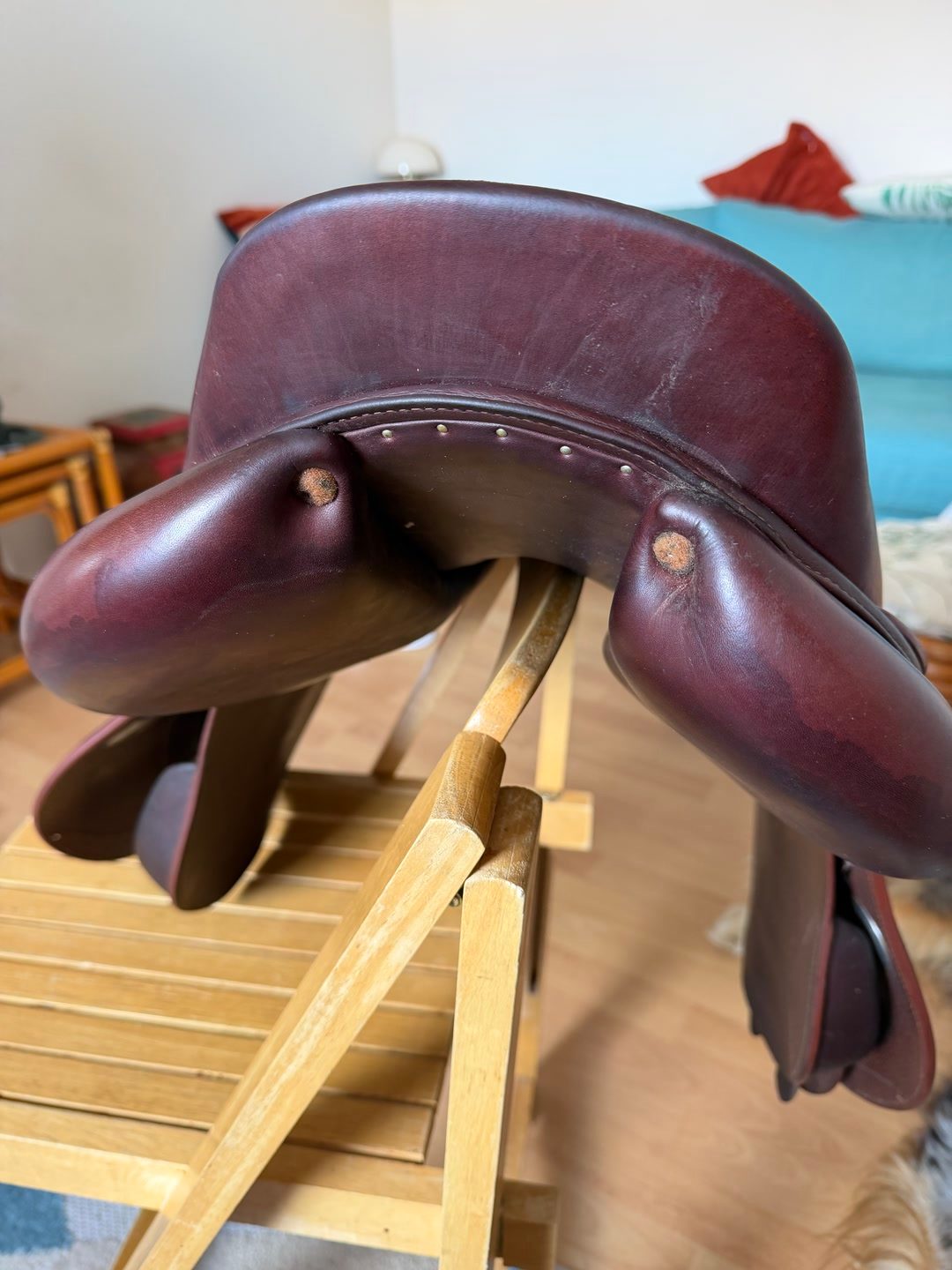 Selle CSO, média 3