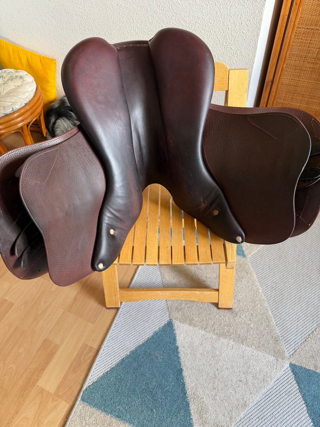 Selle CSO, média 4