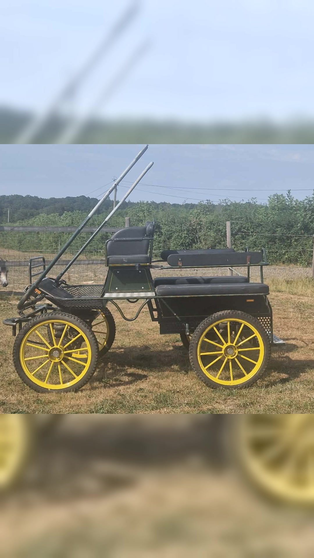 Voiture d'attelage Ginwoski 6 places adultes – Très bon état – Entièrement révisée, média 3