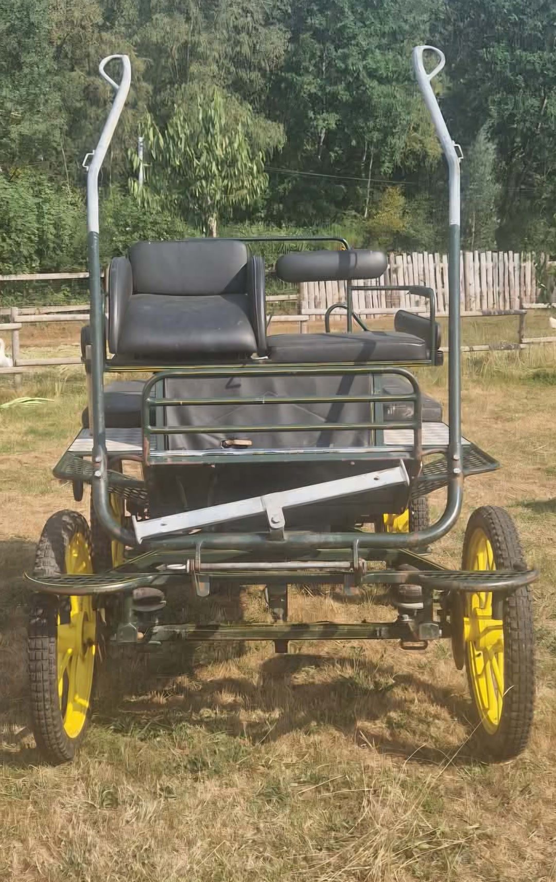 Voiture d'attelage Ginwoski 6 places adultes – Très bon état – Entièrement révisée, média 2