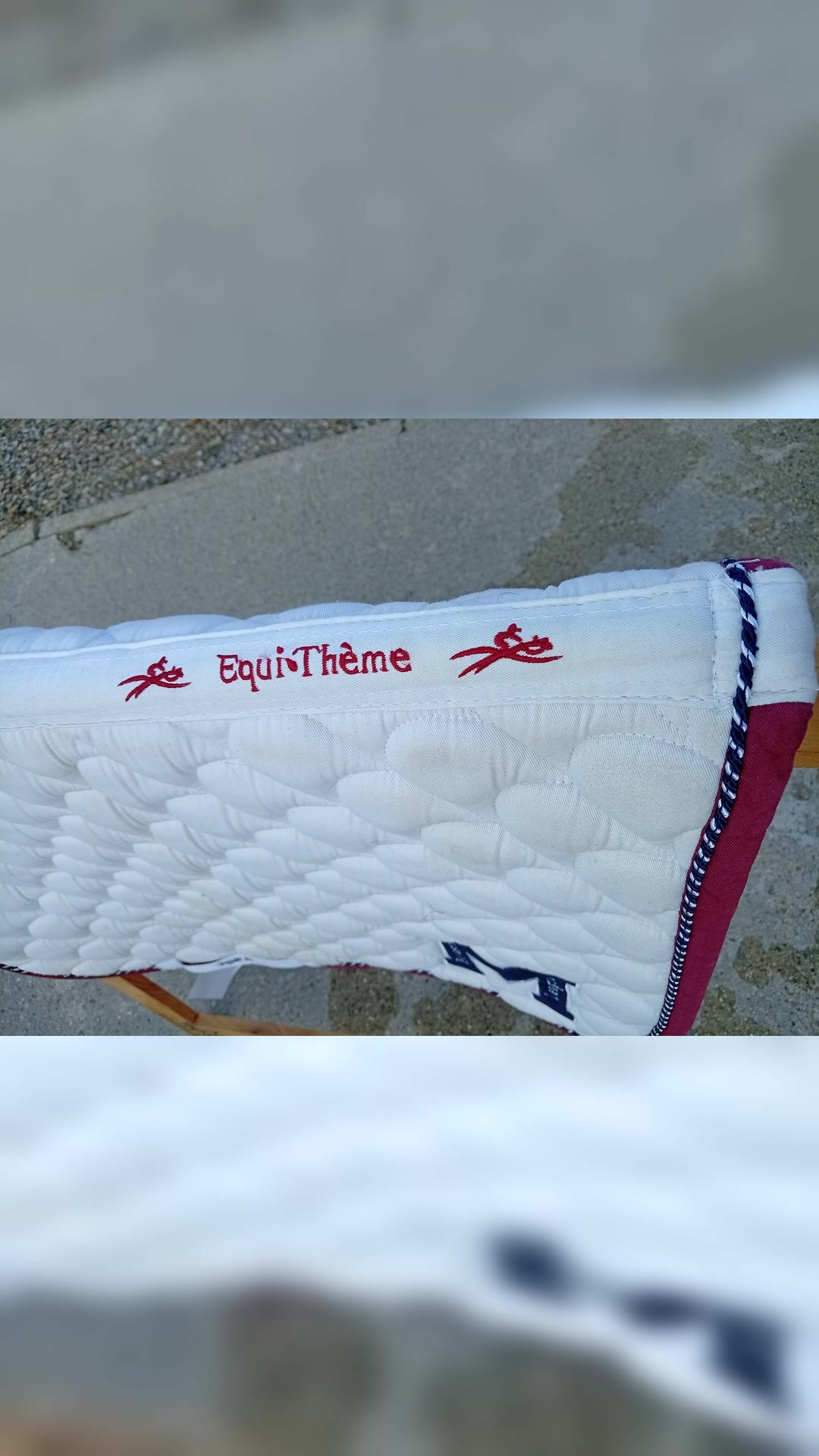 Tapis de selle blanc et Equitheme cheval, média 3