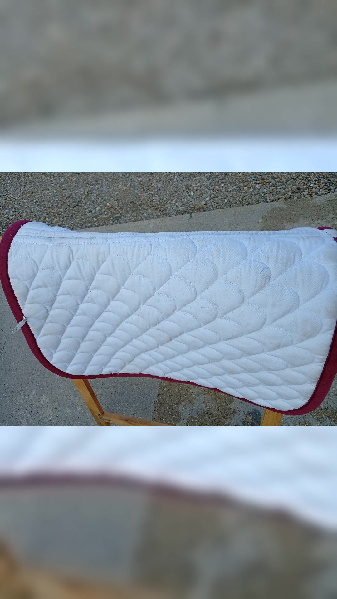 Tapis de selle blanc et Equitheme cheval, média 4