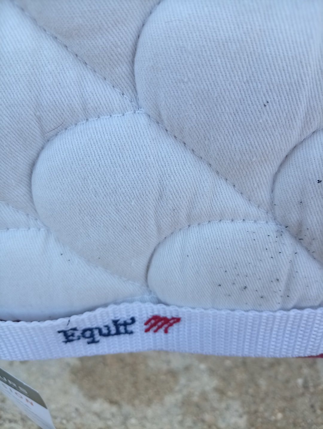 Tapis de selle blanc et Equitheme cheval, média 7