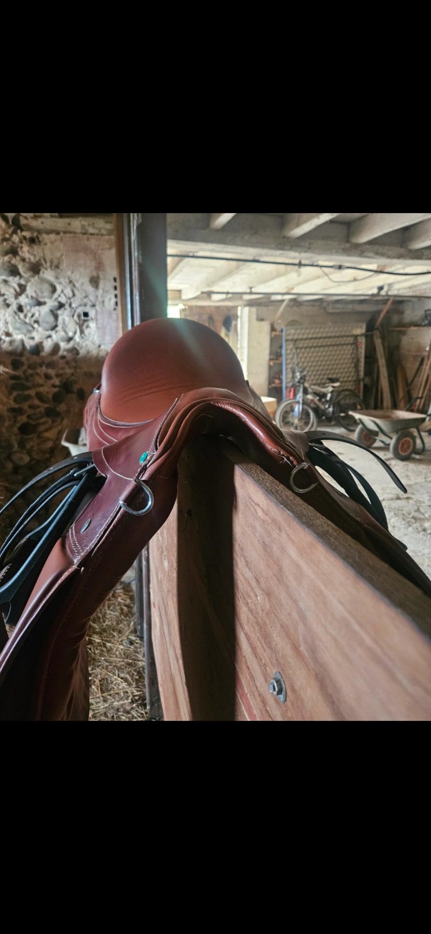 Selle Norton 16.5, média 2