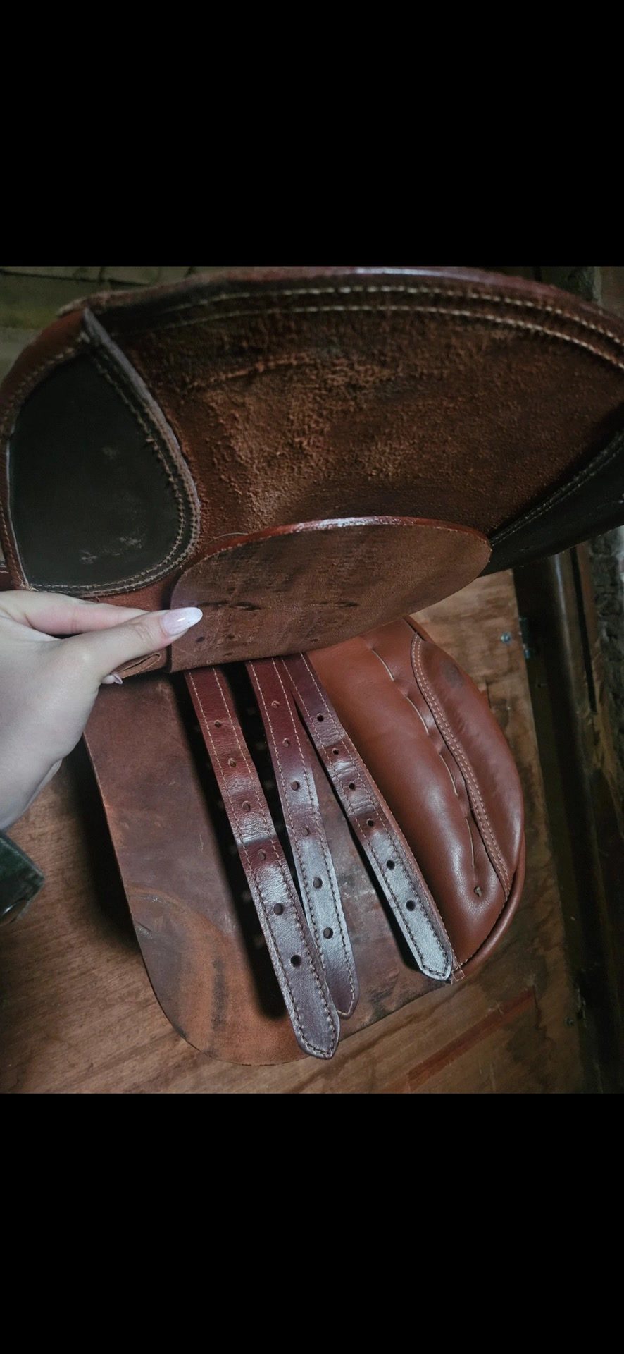 Selle Norton 16.5, média 4