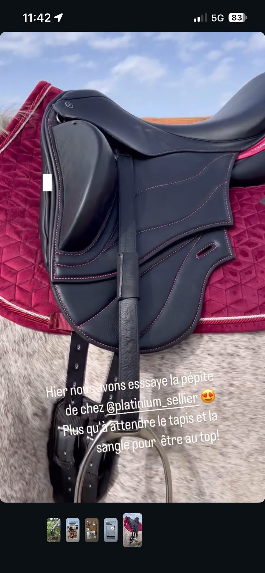 Selle Dressage 17,5, média 4