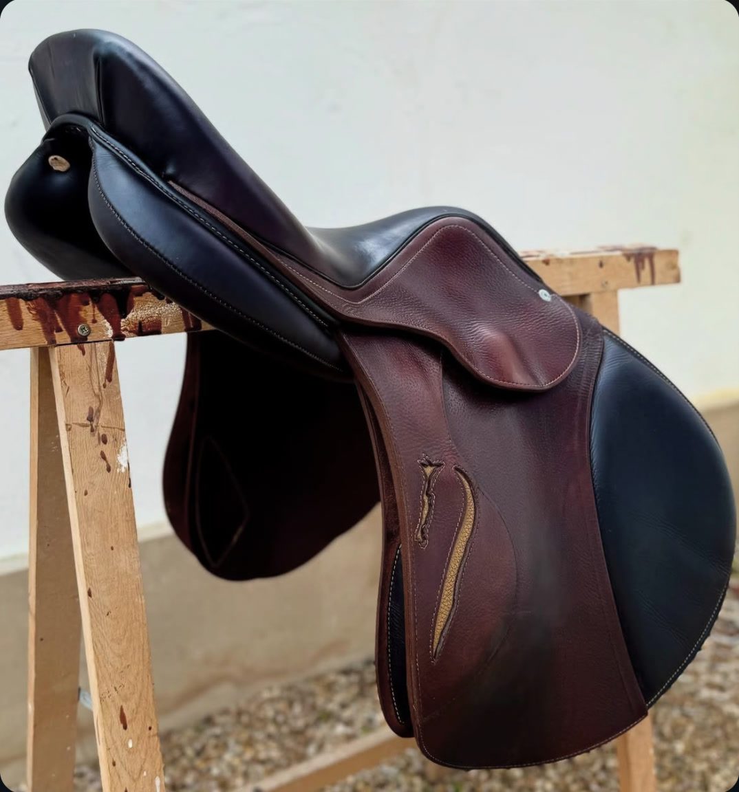 À Vendre - Selle Antares, média 2