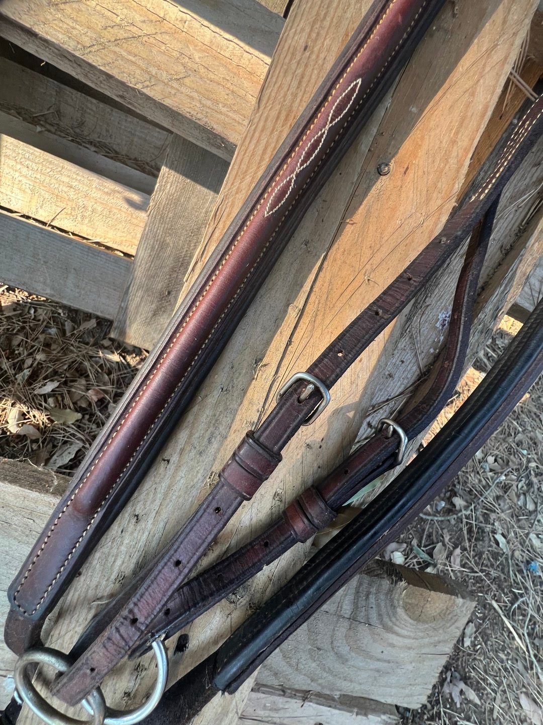 Collier de chasse Éric navet, média 2