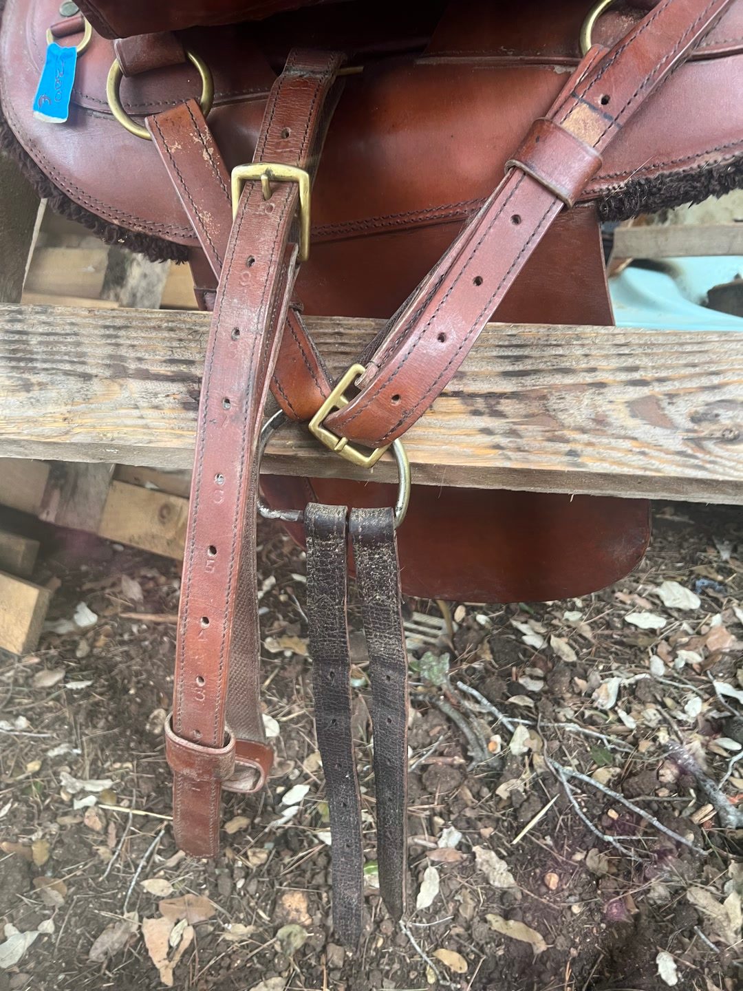 Selle randonnée, média 5