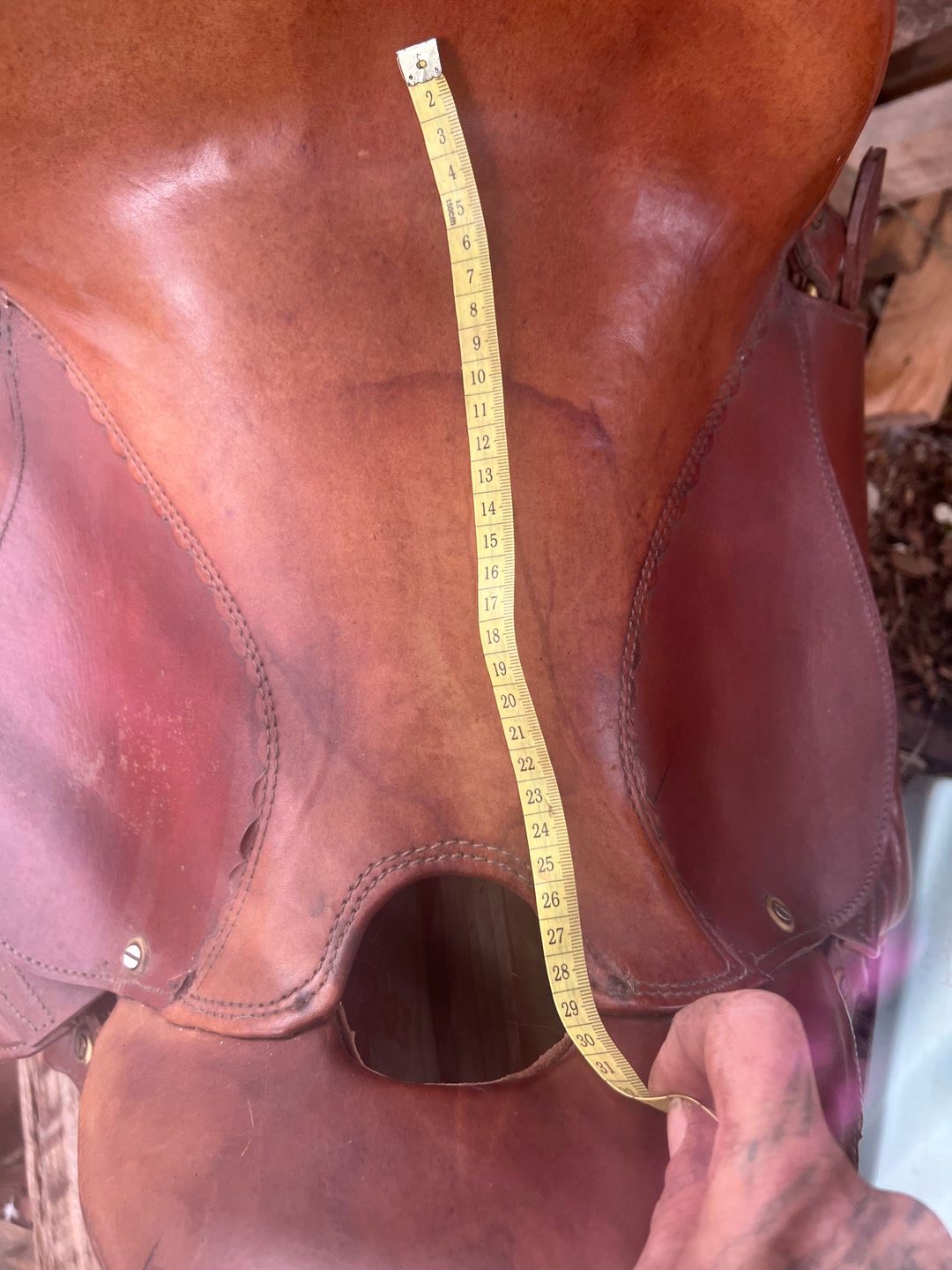 Selle randonnée, média 8
