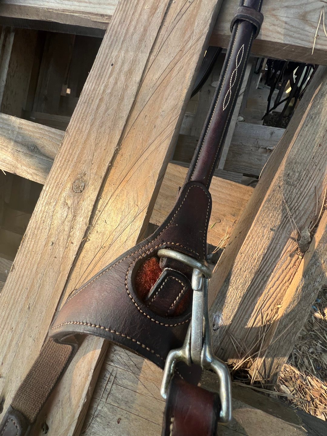 Collier de chasse Éric navet, média 3