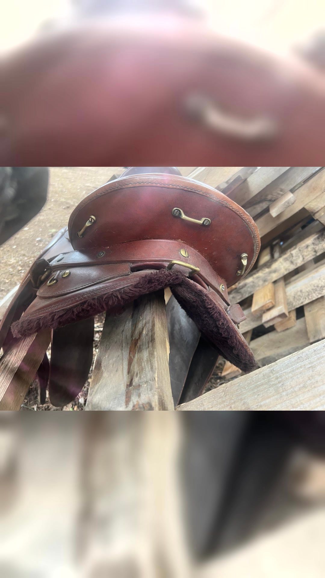 Selle randonnée, média 4