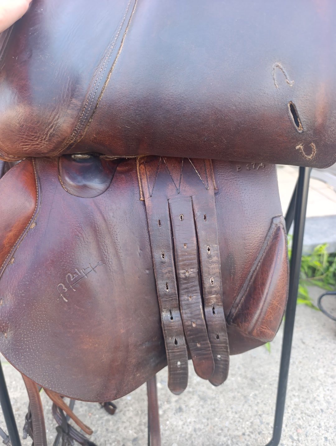 Selle Delgrange, média 5