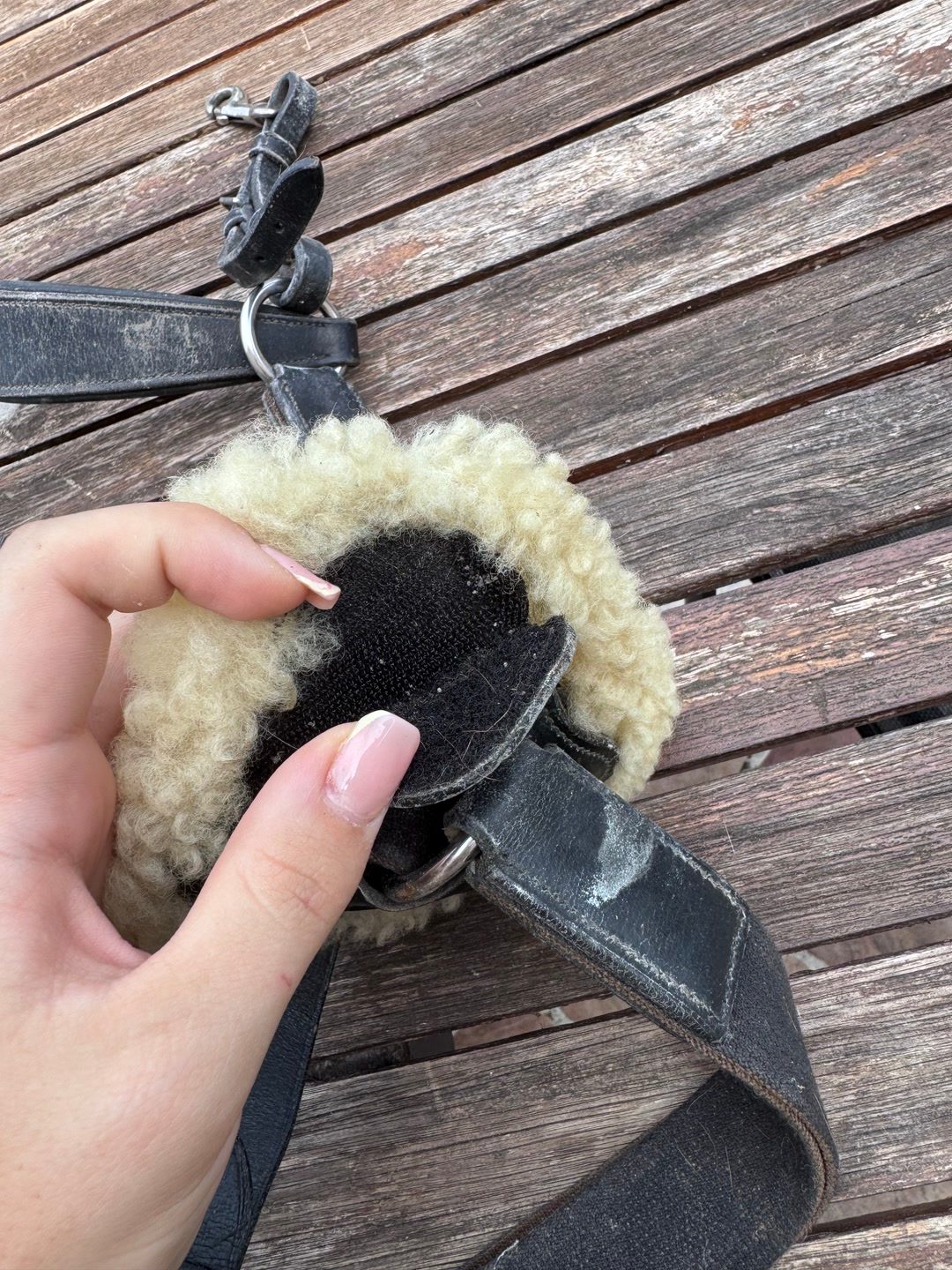 Collier de chasse, média 9