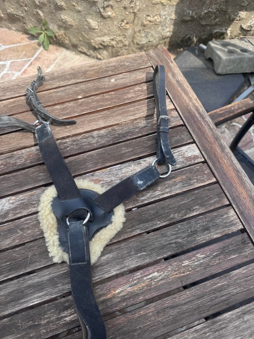 Collier de chasse, média 4