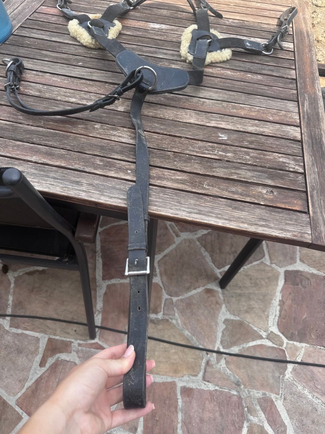 Collier de chasse, média 5