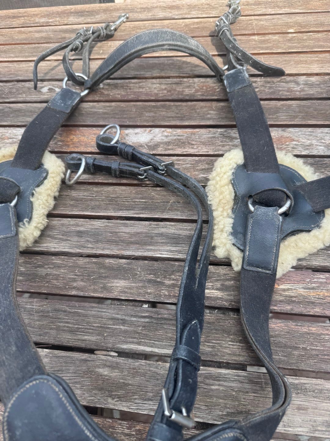 Collier de chasse, média 7