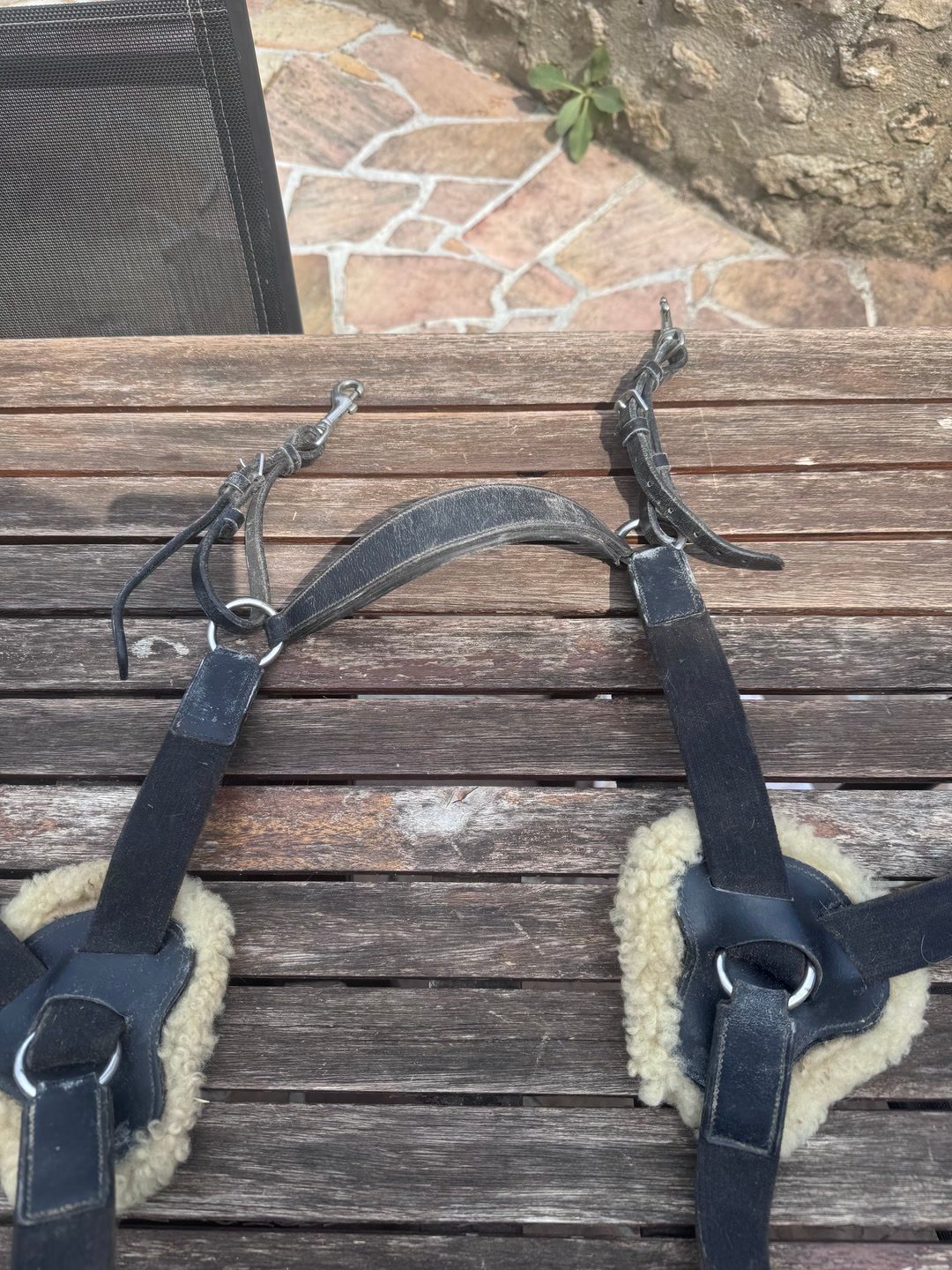 Collier de chasse, média 2