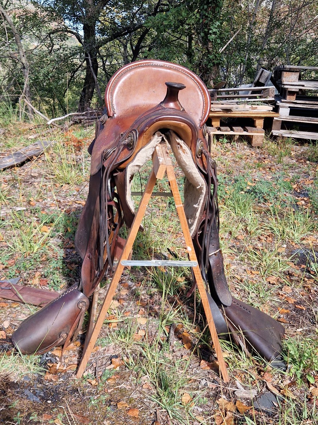 Selle western, média 2