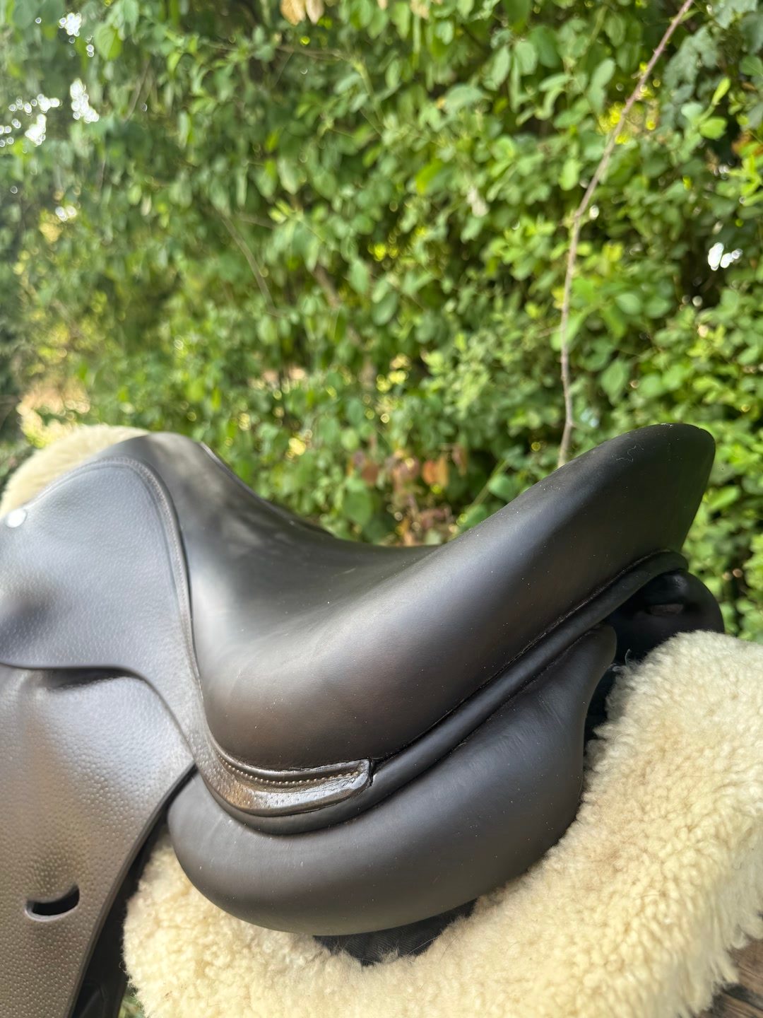 SELLE FORESTIER, média 9