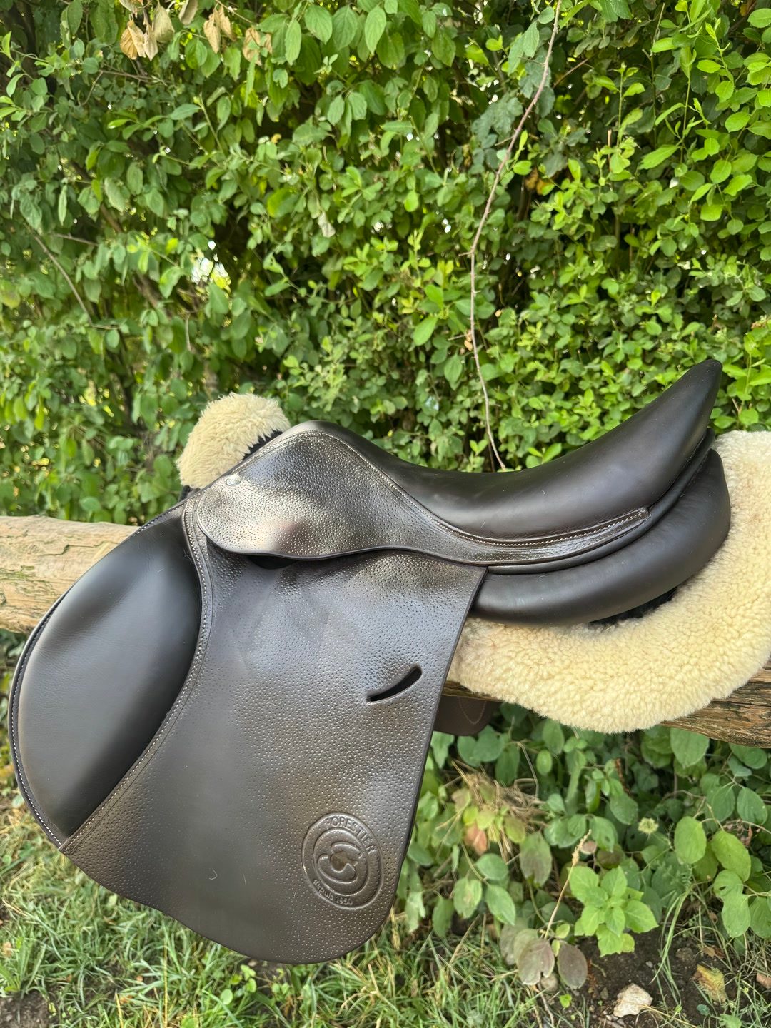 SELLE FORESTIER, média 3