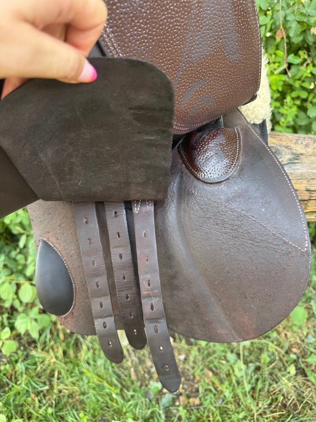 SELLE FORESTIER, média 2