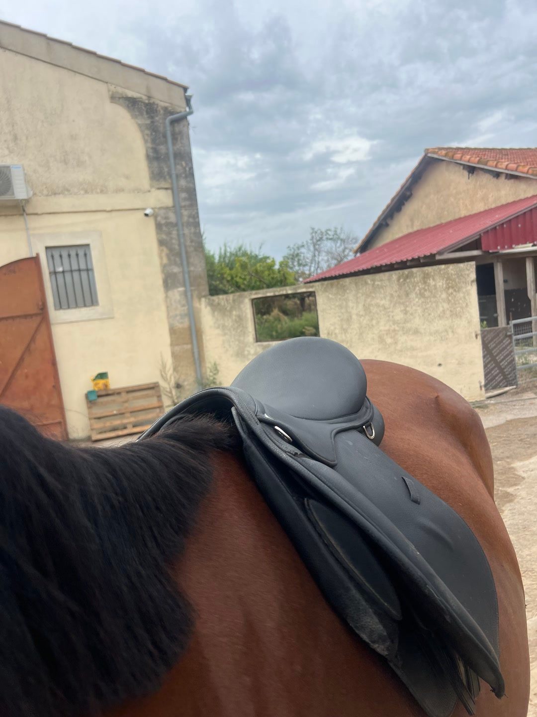 Selle Norton pro mixe 17,5 pouces, média 2