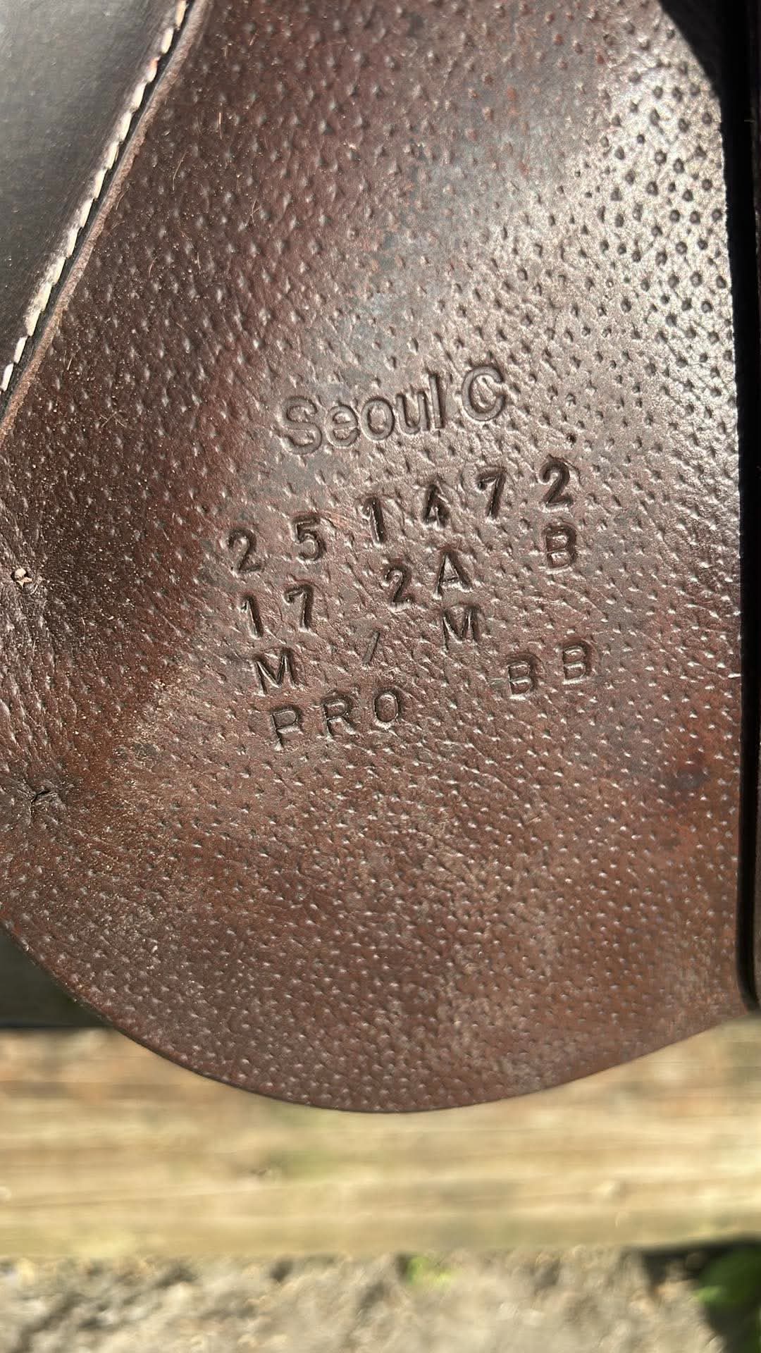 Selle forestier, média 6