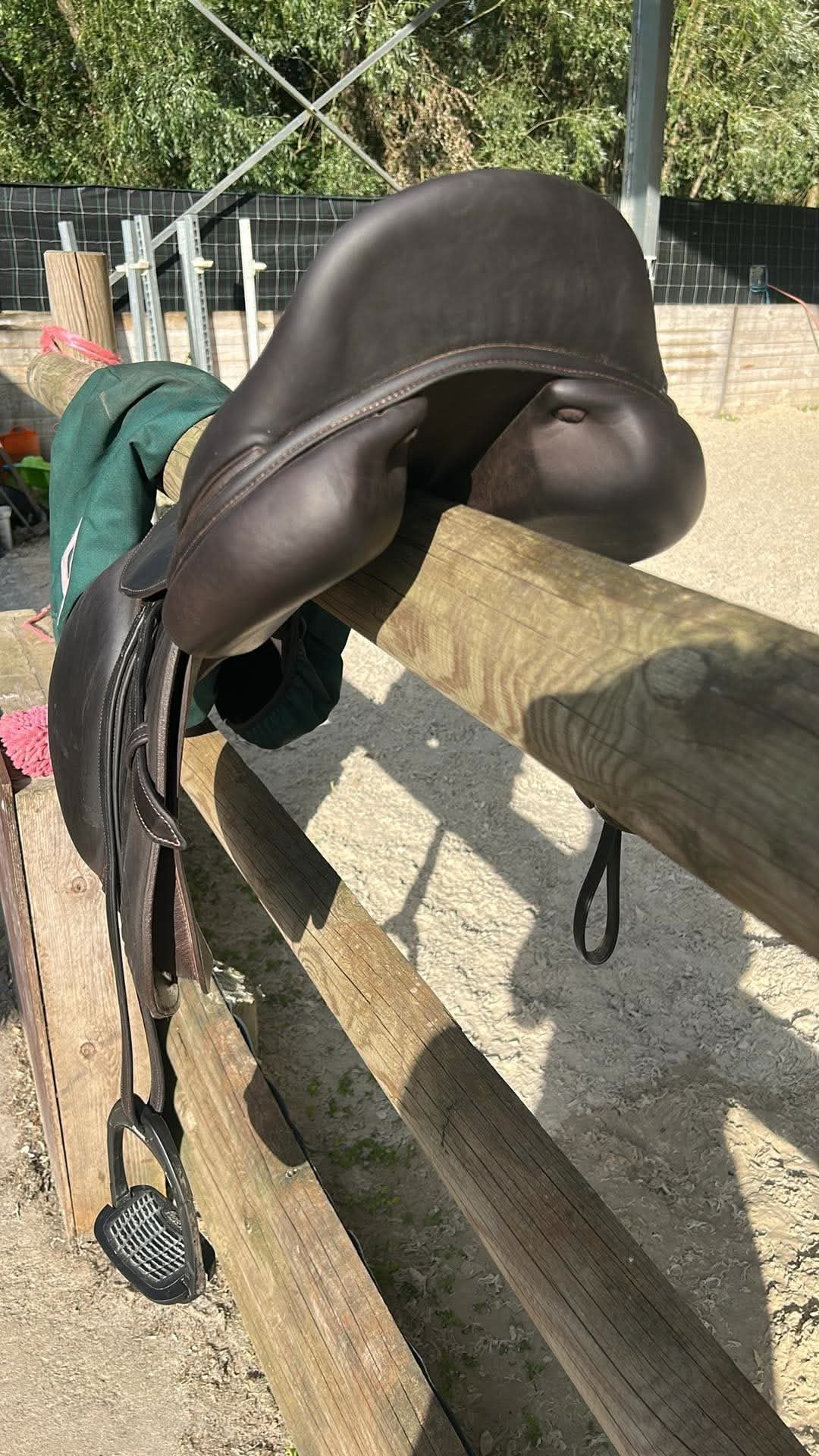 Selle forestier, média 4