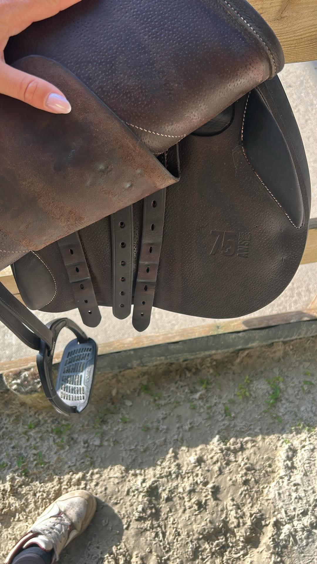 Selle forestier, média 5