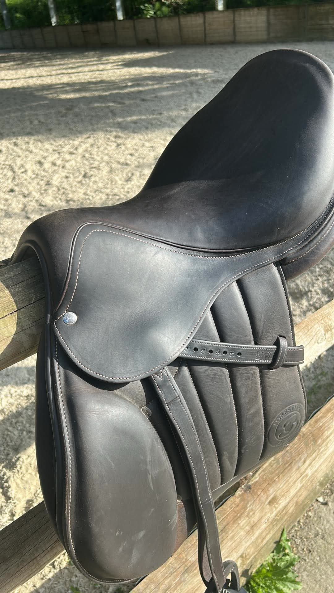 Selle forestier, média 3