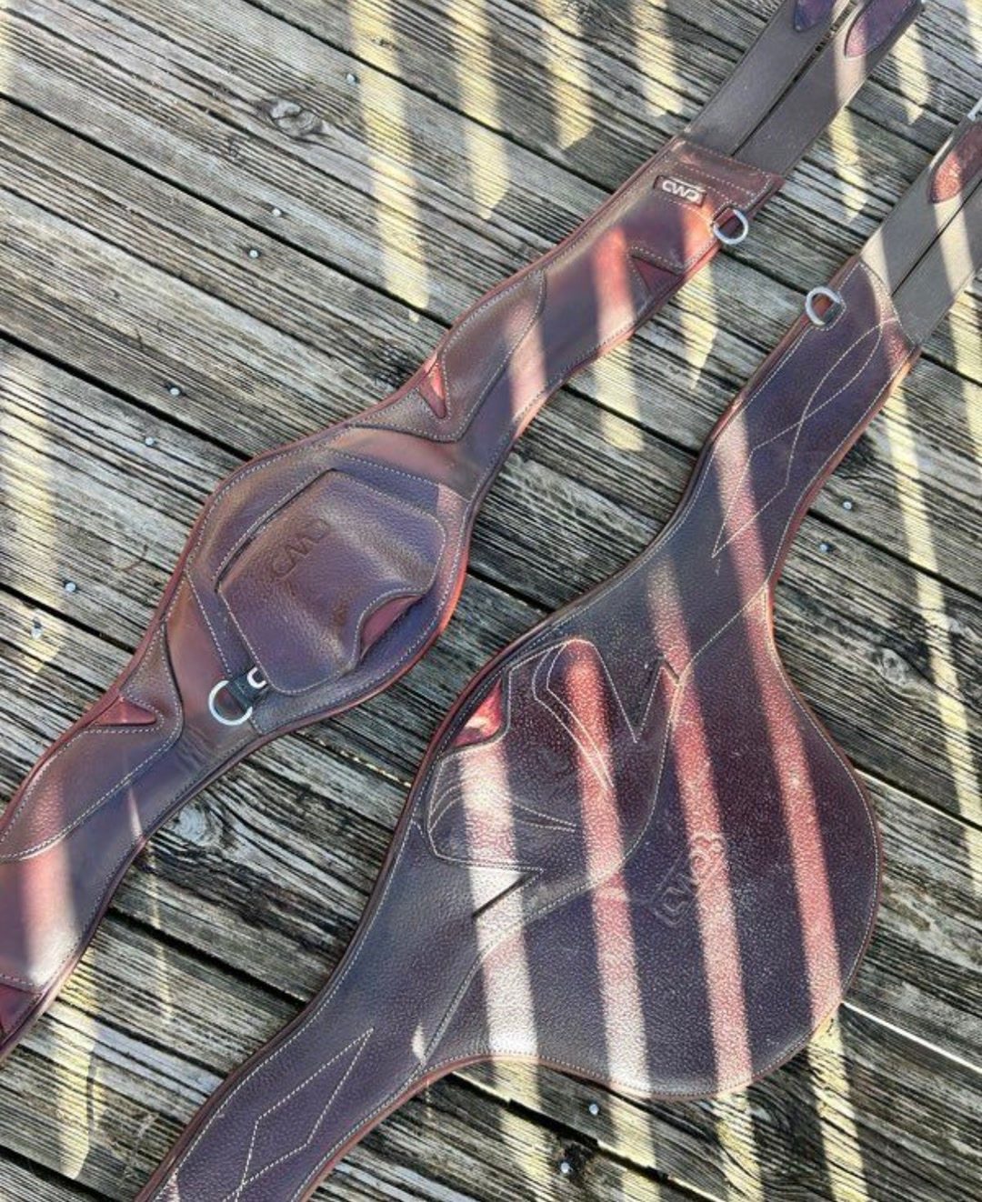 Selle cwd, média 5