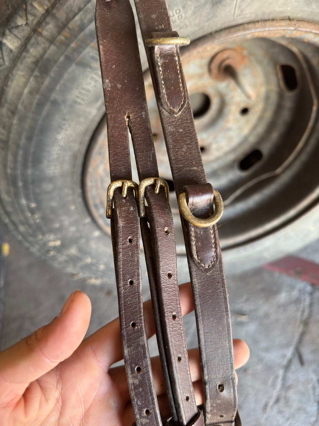 Collier de chasse et martingale intégré, média 4