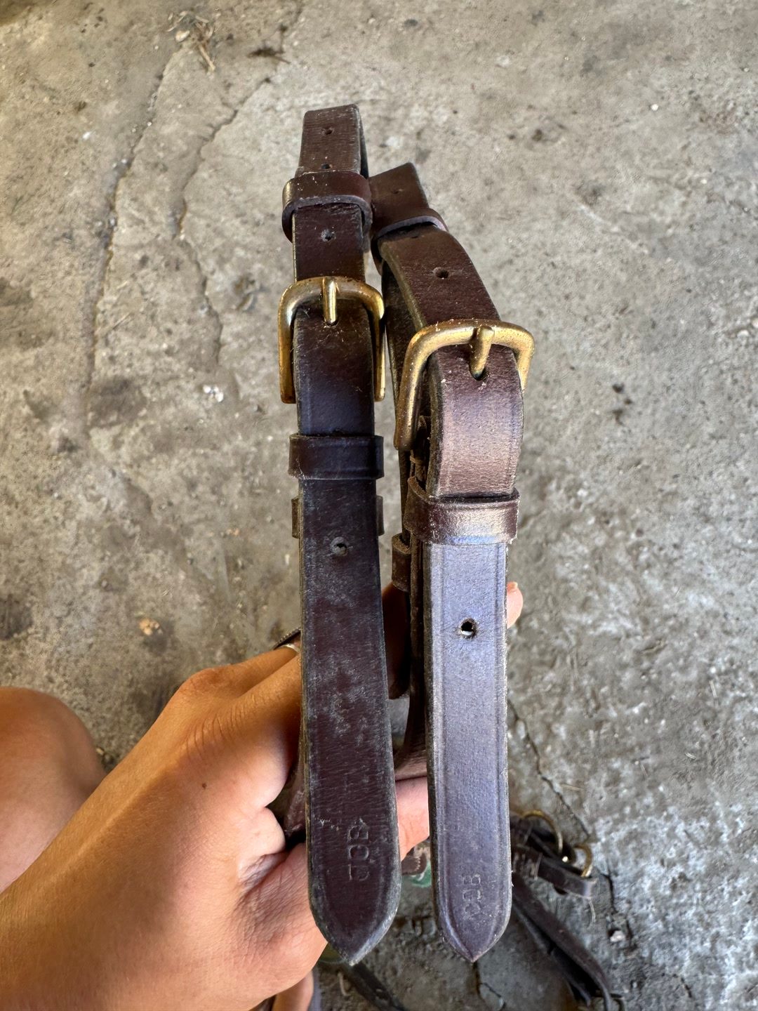 Collier de chasse et martingale intégré, média 3
