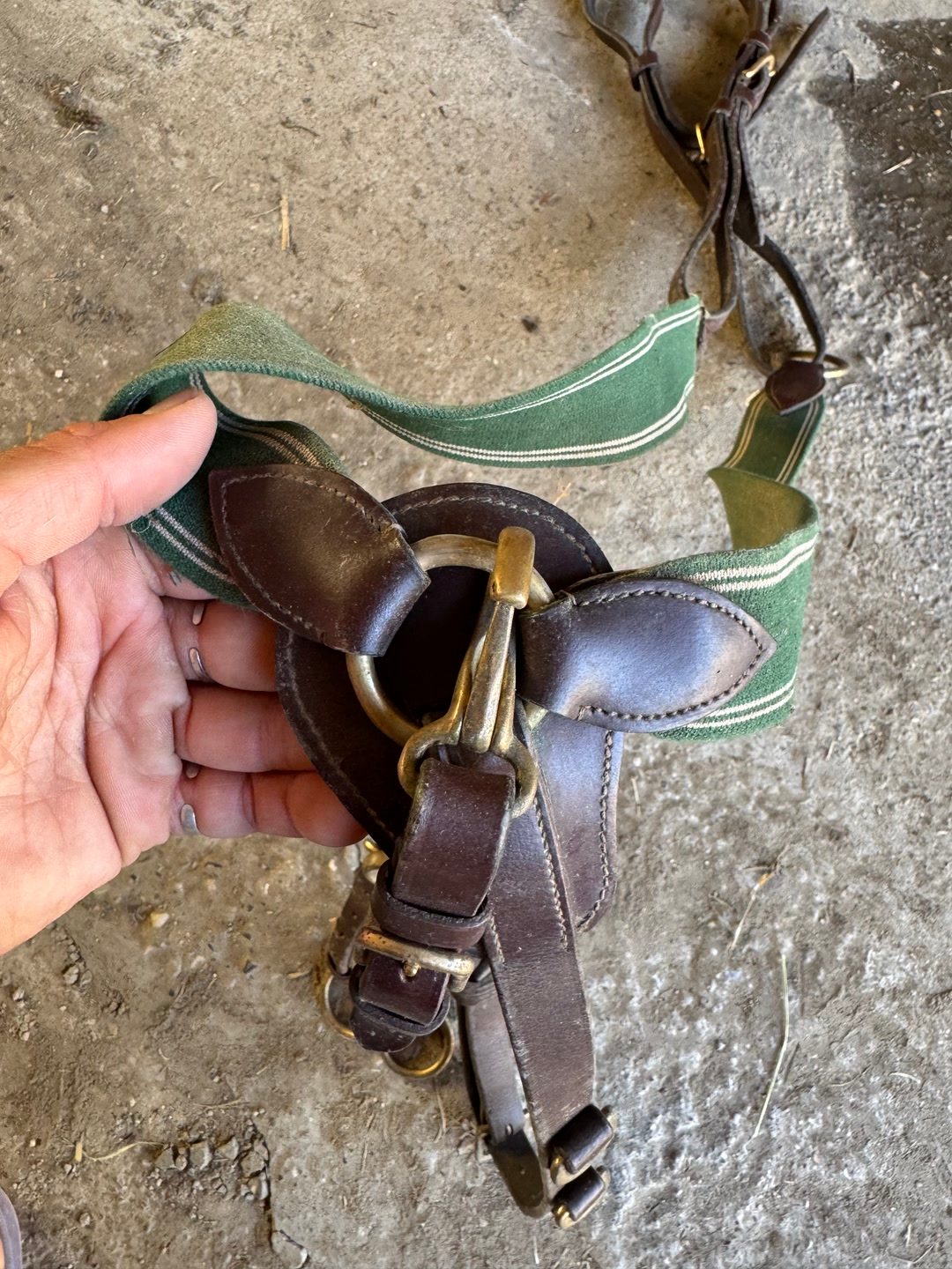 Collier de chasse et martingale intégré, média 2