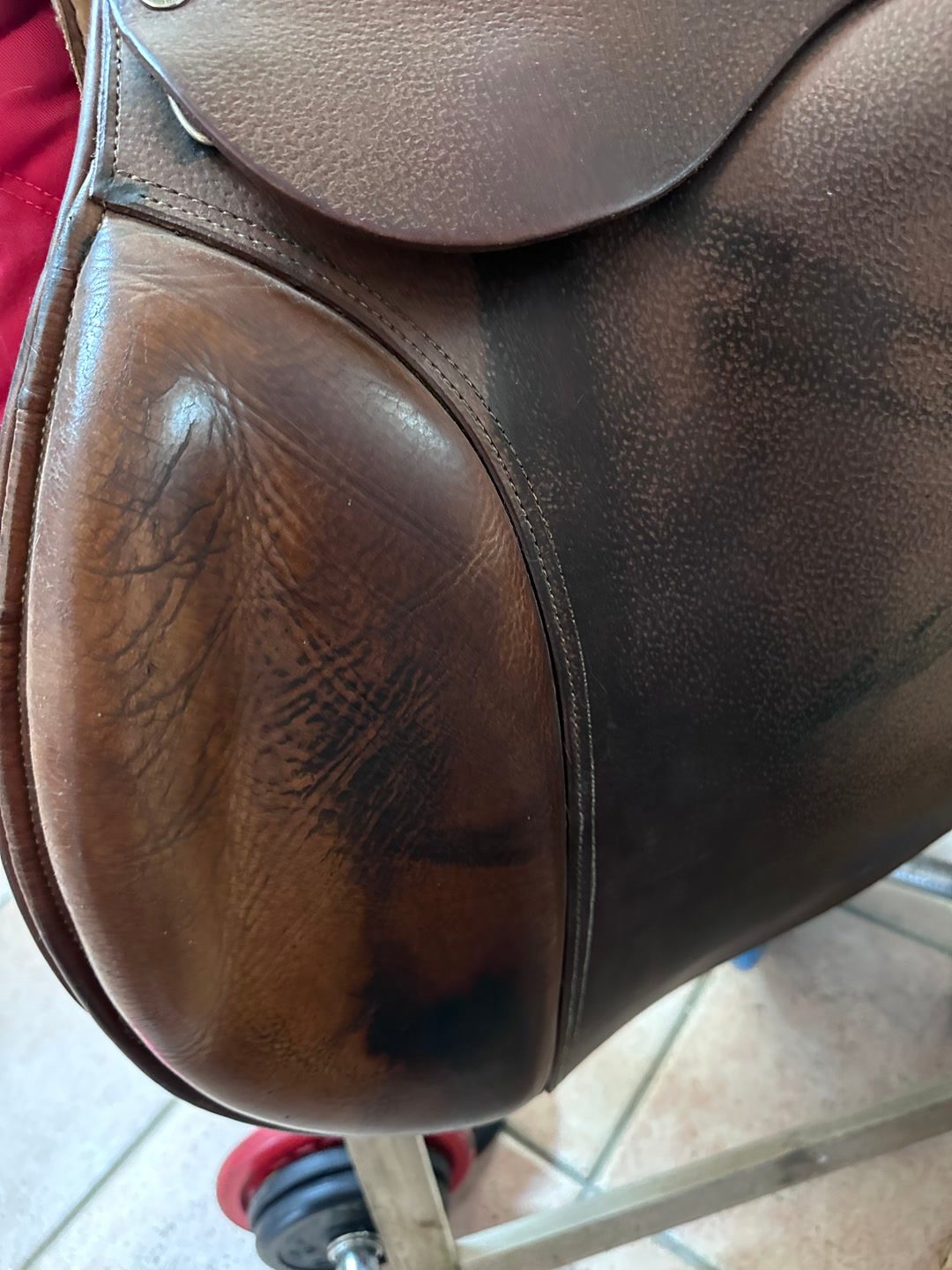 Selle Forestier, média 7