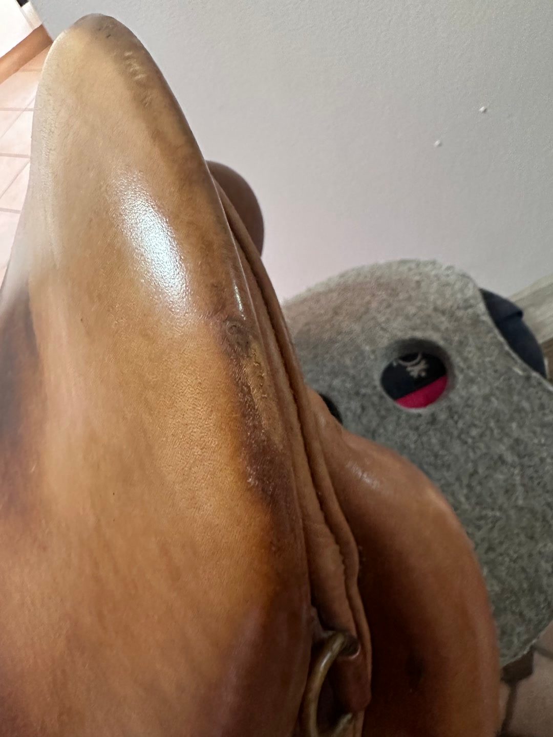Selle Forestier, média 10