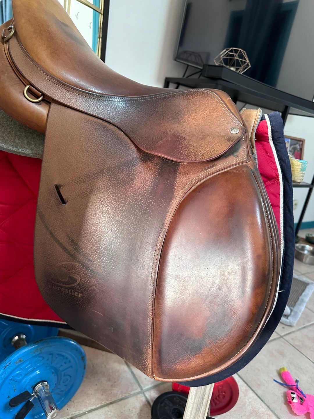 Selle Forestier, média 3