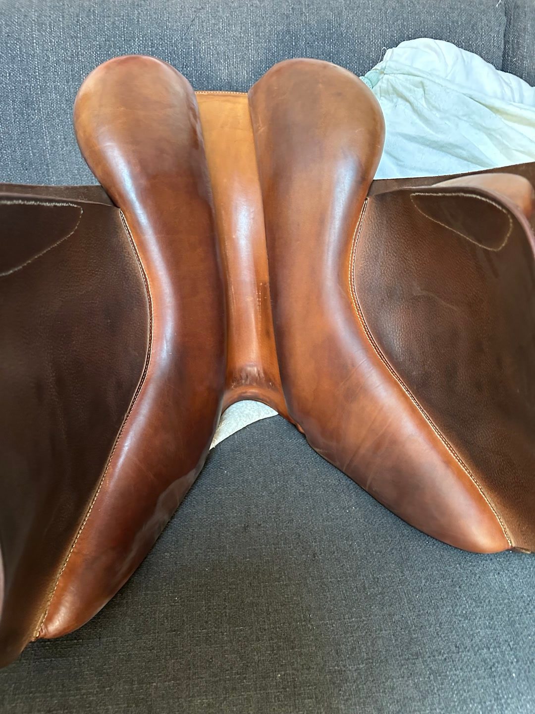 Selle Forestier, média 4