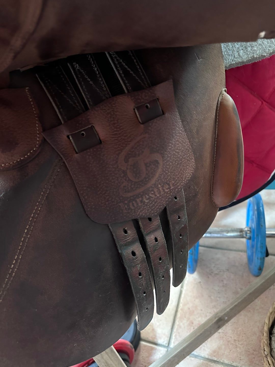 Selle Forestier, média 8