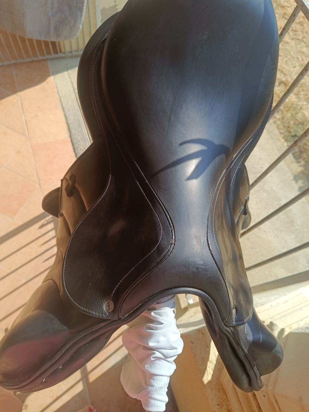 Selle monoquartier Antares, média 5