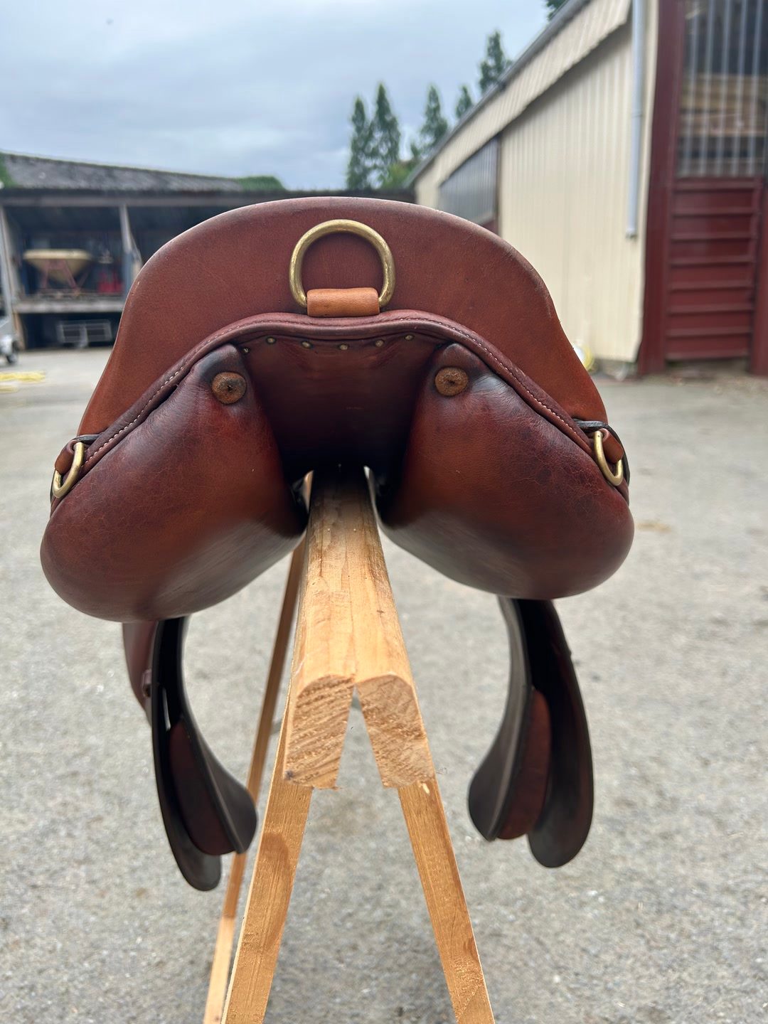 Selle forestier 17’, média 5