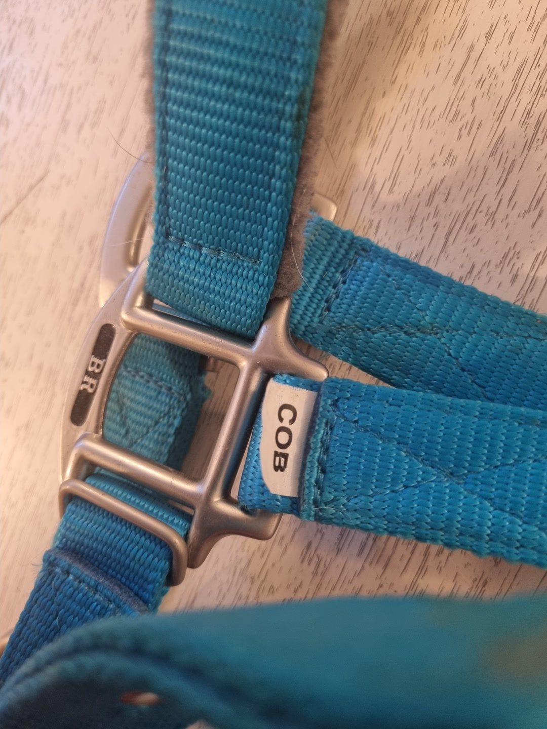Licol COB bleu/gris BR, média 3