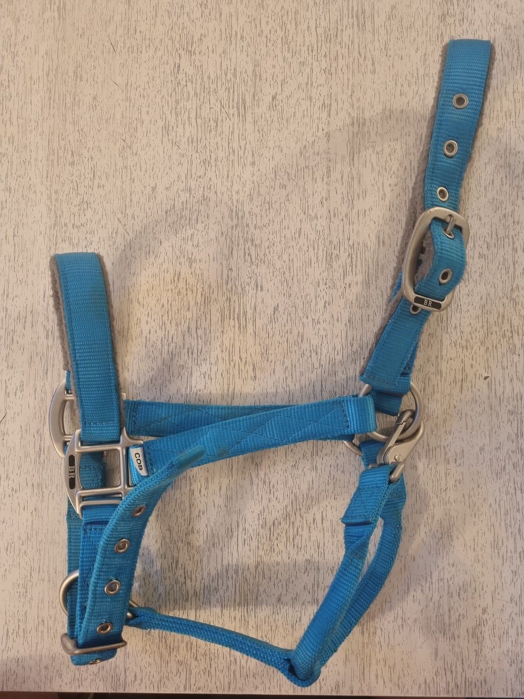 Licol COB bleu/gris BR, média 2