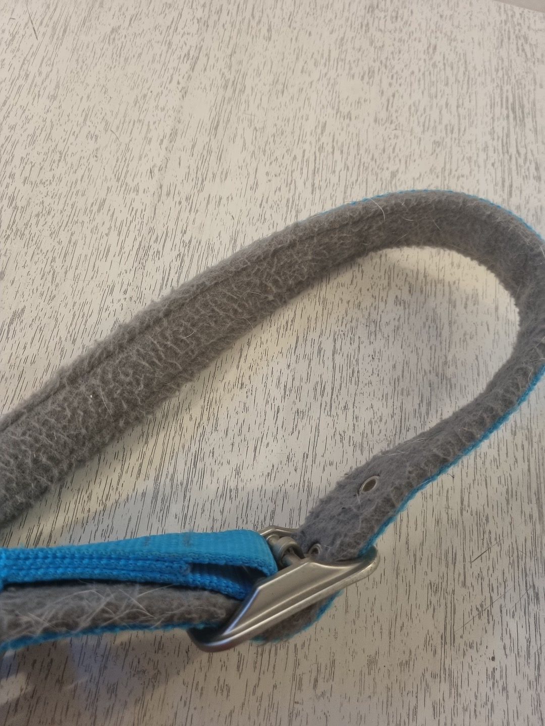 Licol COB bleu/gris BR, média 5