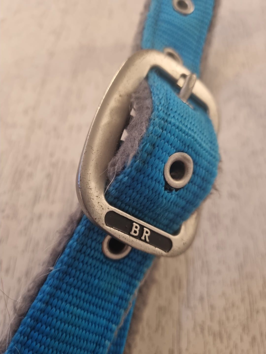 Licol COB bleu/gris BR, média 4