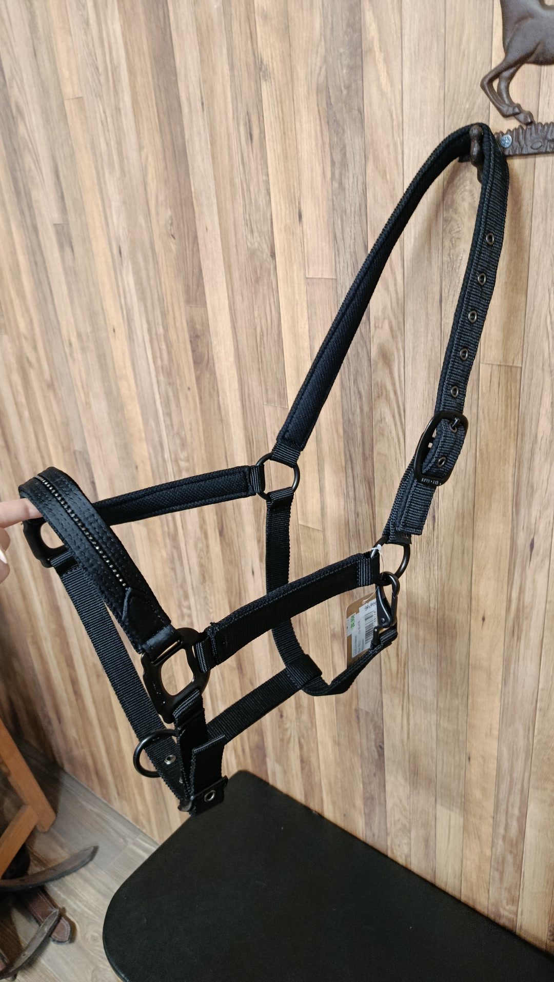 Licol cheval, média 2